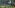 Light of Motiram Showcases Gameplay in Outcast Forest With Latest Trailer