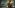 S.T.A.L.K.E.R. 2: Heart of Chornobyl Review – Anomaly Sighted
